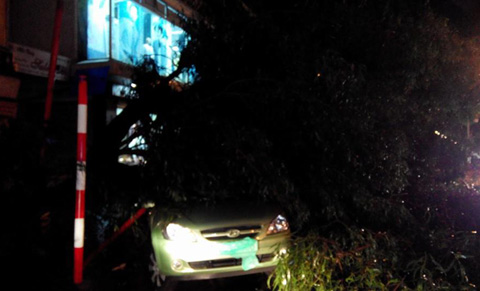 Mưa lớn,mưa dông,đổ cây,xe taxi,lái xe tử vong,Hà Nội