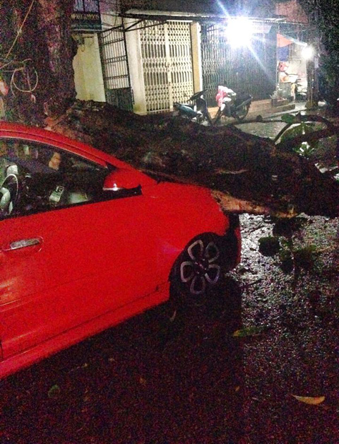 Mưa lớn,mưa dông,đổ cây,xe taxi,lái xe tử vong,Hà Nội
