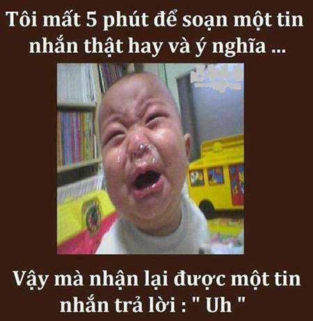 Ảnh vui,Ảnh chế,Ảnh hài hước