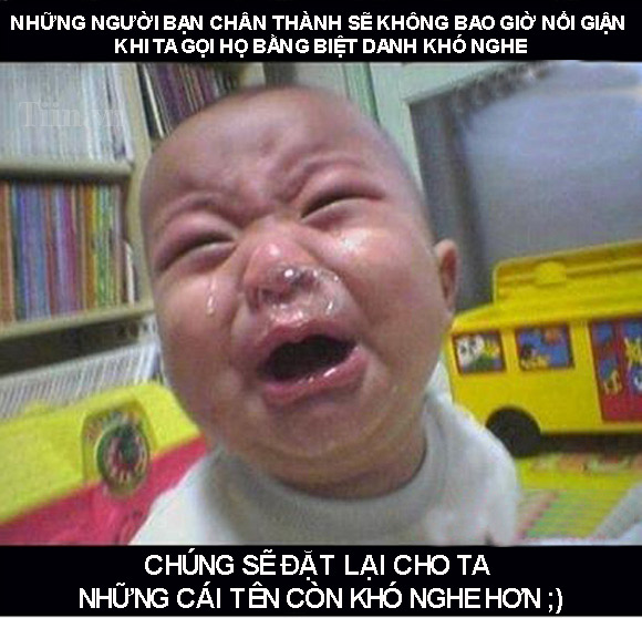 Ảnh vui,Ảnh chế,Ảnh hài hước