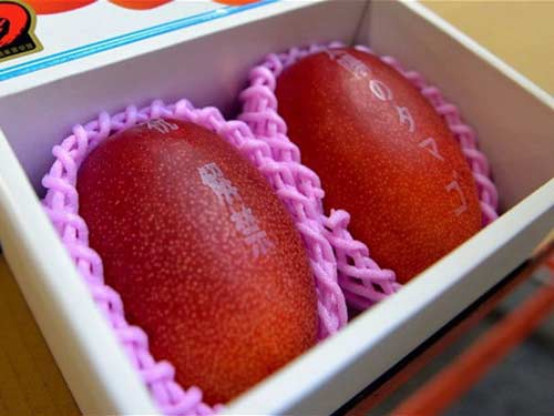 Loại quả đắt nhất thế giới,Dâu Arnaud,Dưa vàng Yubari King,Dưa hấu Densuke