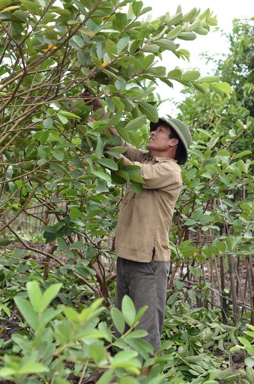 Lệ Rơi,Ca sĩ Lệ Rơi,Trào lưu giới trẻ,Đắng lòng