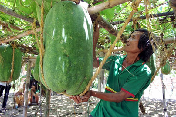 Chuyện lạ 4 phương,Chuyện lạ thế giới,Phi thường,Chuyện lạ có thật,Chuyện lạ khó tin