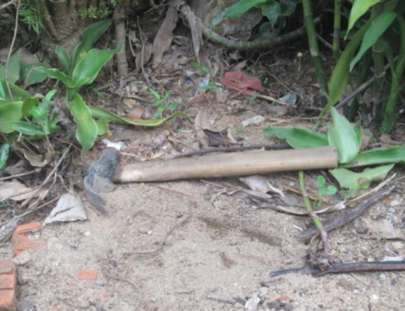 Giết mẹ,giết bà ngoại,dùng búa giết mẹ và bà