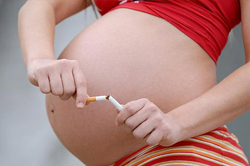 Thai nhi,giúp mẹ ngăn ngừa dị tật thai nhi