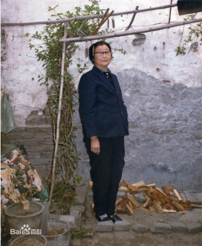 Mối tình,mối tình đơn phương của cách cách Triều Thanh