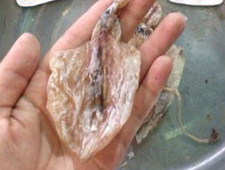 Mực khô,nguồn gốc mực khô giá siêu rẻ giá 5000/con đang khiến dân nhậu 