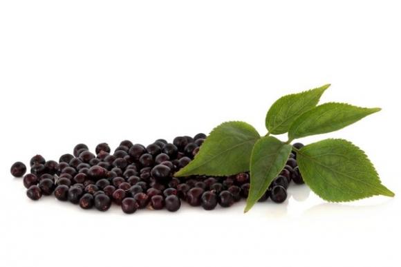 9 loại trái cây ngừa bệnh,trái cây giúp ngừa bệnh