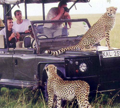 Thiên đường,thiên đường hoang dã ở Kenya,khám phá du lịch Châu Phi