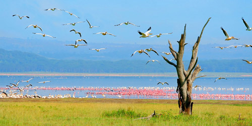 Thiên đường,thiên đường hoang dã ở Kenya,khám phá du lịch Châu Phi