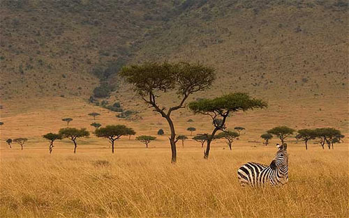 Thiên đường,thiên đường hoang dã ở Kenya,khám phá du lịch Châu Phi