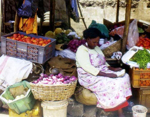 Thiên đường,thiên đường hoang dã ở Kenya,khám phá du lịch Châu Phi