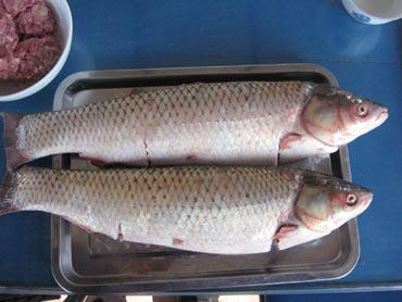 Thực phẩm,thực phẩm nguy hiểm hàng ngày,thực phẩm chứa độc tố