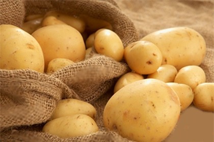 Khoai tây,Bảo quản khoai tây,Ung thư,Tổn thương hệ thần kinh