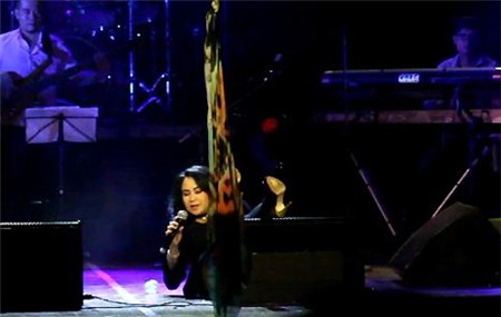 Ca sĩ,ca sĩ Việt,những ca sĩ ngã chỏng vó trên sân khấu