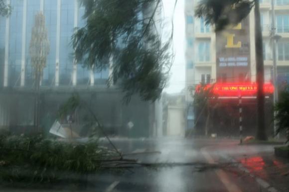 Bão,bão Thần Sấm,bão Thần Sấm hoành hành ở Quảng Ninh