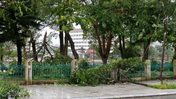 Bão,bão Thần Sấm,bão Thần Sấm hoành hành ở Quảng Ninh