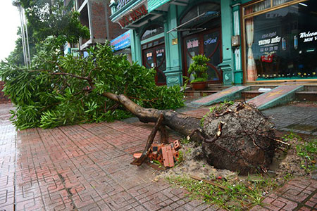 Bão,bão Thần Sấm,bão Thần Sấm hoành hành ở Quảng Ninh