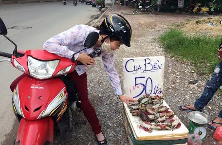 của biển 50k,cua biển giá rẻ tại Hà Nội