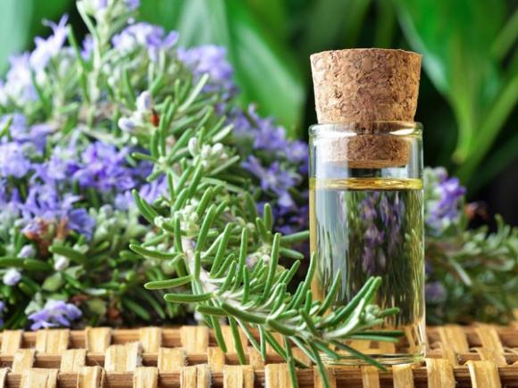 Bệnh ung thư,Phòng bệnh ung thư,Thảo dược phòng bệnh ung thư