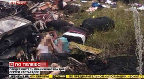 Máy bay rơi,Máy bay Malaysia rơi,MH17,Tai nạn máy bay