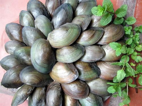 Bổ sung Vitamin,Vitamin cần thiết,Thiếu Vitamin