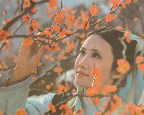 Hồng Lâu Mộng,phim Hồng Lâu Mộng,quá trình tuyển mỹ nhân,mỹ nhân Hồng Lâu Mộng
