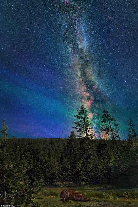thiên hà, dải thiên hà, thiên hà Milky Way