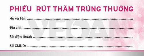 Vedan, Vedan khuyến mại, Khuyến mại tết