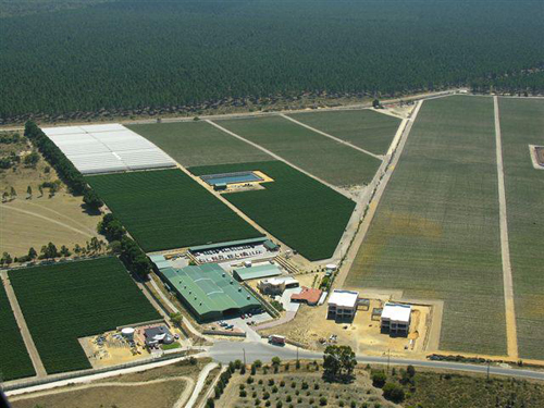 Nguyễn Xuân Trinh, Bảo Ngọc Việt - Úc, Thực phẩm chức năng