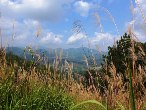 Núi Bidoup, Du lịch Lâm Đồng, Rừng thông, Địa danh du lịch