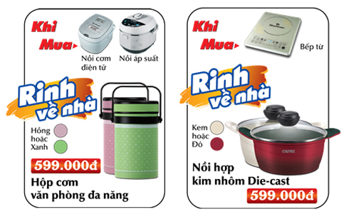 Bếp từ, Bếp từ BlueStone, BlueStone khuyến mại