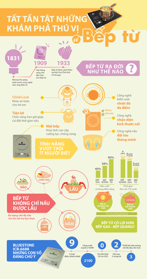 Bếp từ, Bếp từ BlueStone, BlueStone khuyến mại