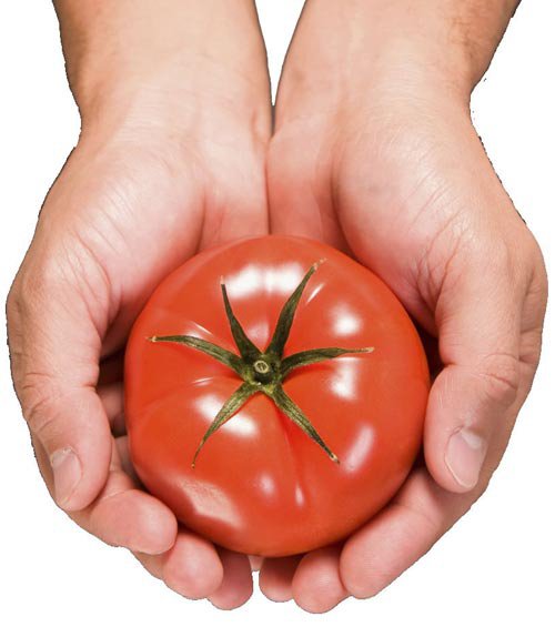 Cà chua, Làm đẹp bằng cà chua, Thân hình thon gọn