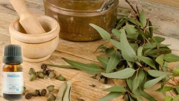 hen suyễn, bệnh hen, biểu hiện bệnh hen suyễn