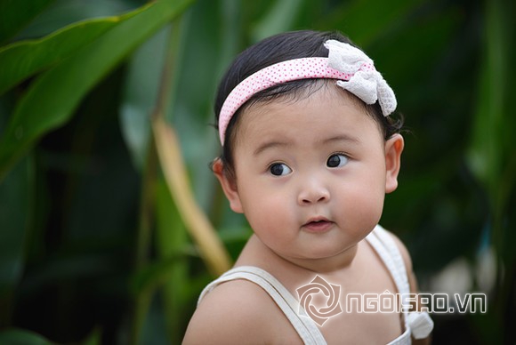 hoa hau, con hoa hau, hoa hau huong giang, giang my, nguyen thi huyen, thuy lam, thu thuy, tin, bao