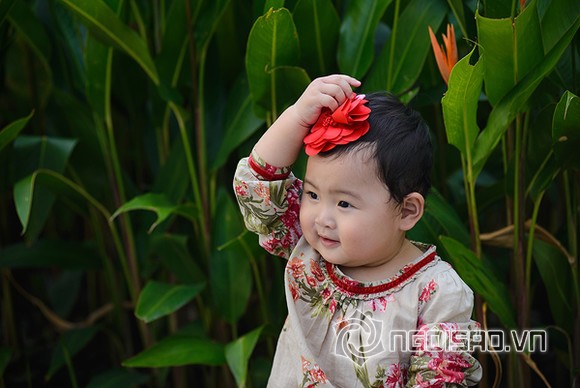 hoa hau, con hoa hau, hoa hau huong giang, giang my, nguyen thi huyen, thuy lam, thu thuy, tin, bao