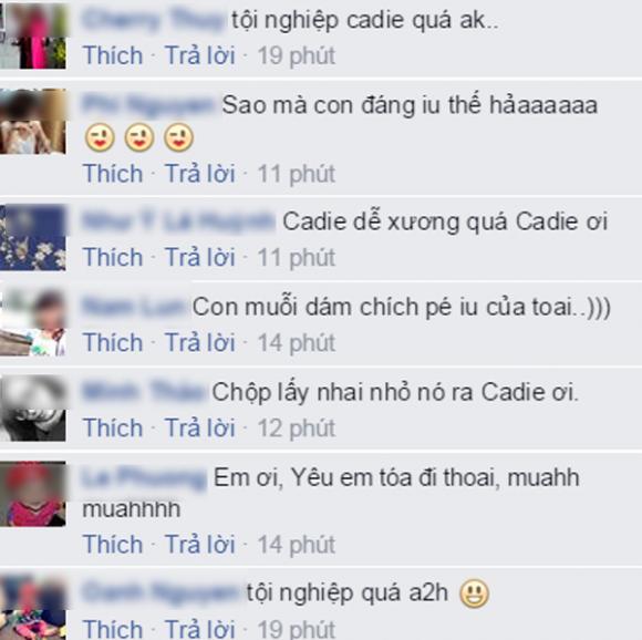 Cadie,mộc trà cadie,Cadie đá lông nheo,Cadie quậy,Cadie ngồi gọi món,Cadie ngơ ngác,Cadie mắt tròn xoe,cadie không chịu ngủ