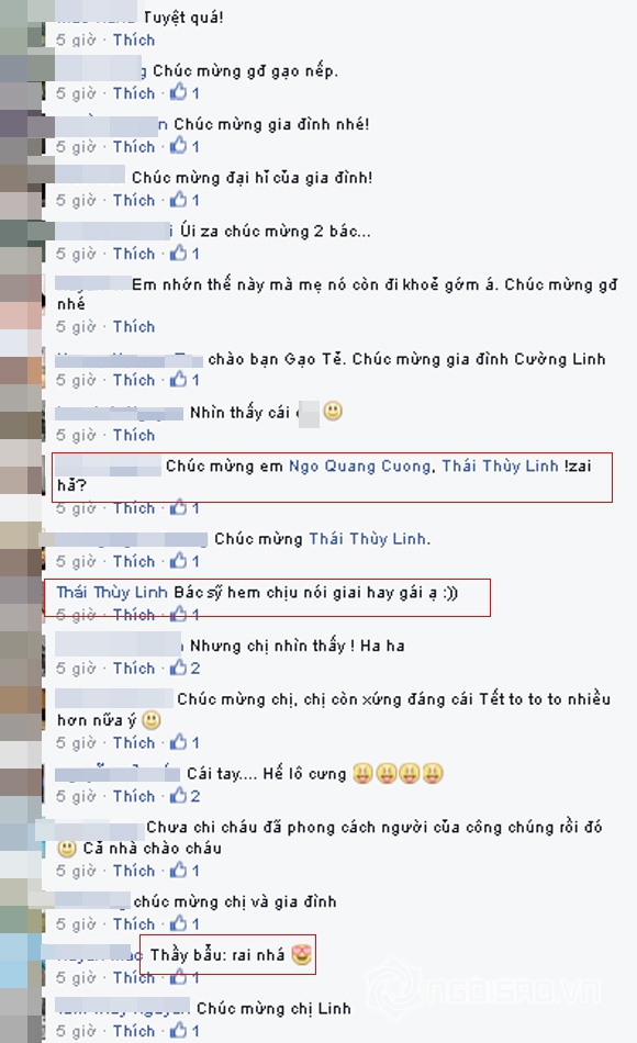 Thái Thùy Linh mang thai, Thái Thùy Linh đính hôn, con gái Thái Thùy Linh
