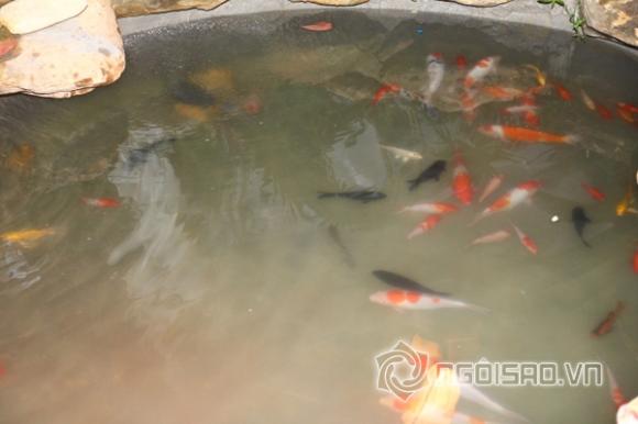 sao Việt, Cao Thái Sơn, biệt thư của Cao Thái Sơn, xế hộp tiền tỷ của Cao Thái Sơn, Cao Thái Sơn tự tay trang trí biệt thự đón Tết