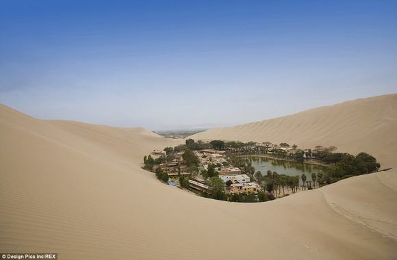 oc dao Huacachina, oc dao trong sa mac, sa mac peru,