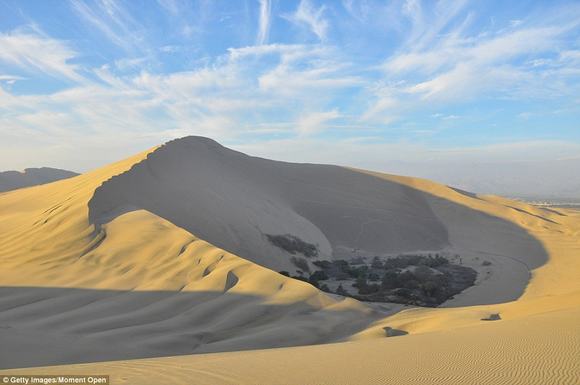 oc dao Huacachina, oc dao trong sa mac, sa mac peru,
