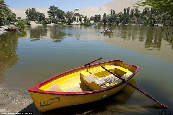 oc dao Huacachina, oc dao trong sa mac, sa mac peru,