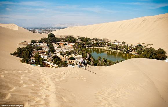 oc dao Huacachina, oc dao trong sa mac, sa mac peru,