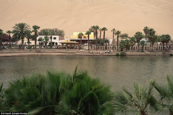 oc dao Huacachina, oc dao trong sa mac, sa mac peru,