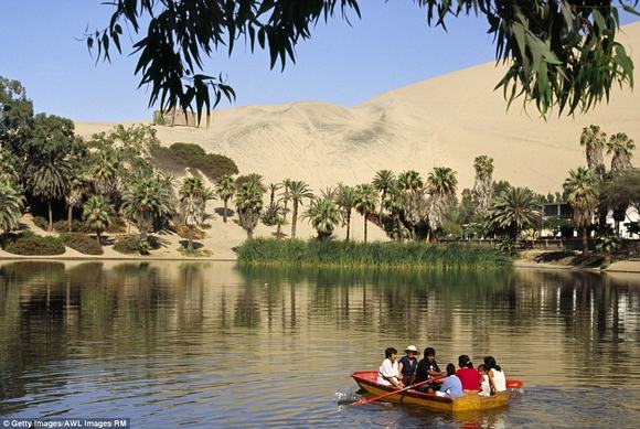 oc dao Huacachina, oc dao trong sa mac, sa mac peru,