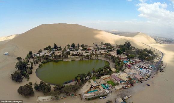 oc dao Huacachina, oc dao trong sa mac, sa mac peru,