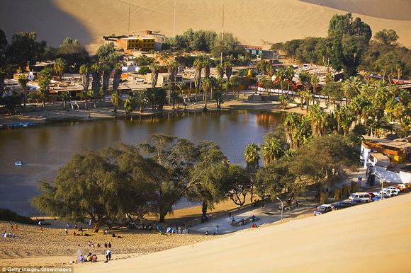 oc dao Huacachina, oc dao trong sa mac, sa mac peru,