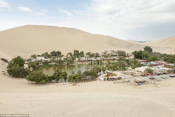 oc dao Huacachina, oc dao trong sa mac, sa mac peru,