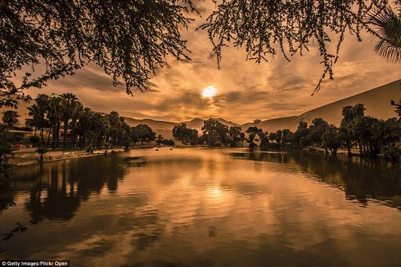 oc dao Huacachina, oc dao trong sa mac, sa mac peru,